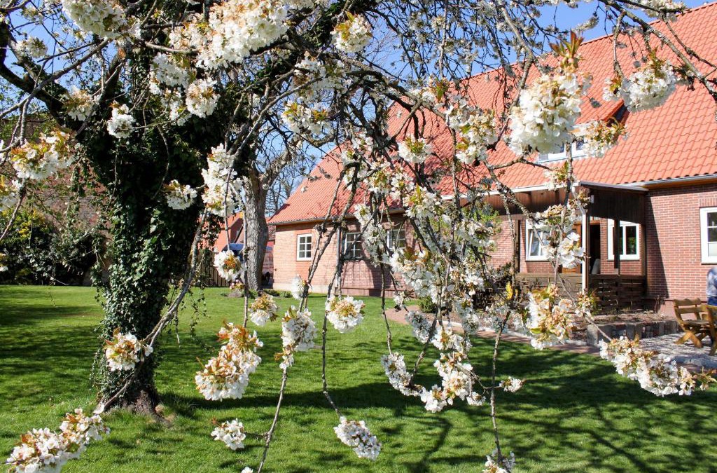 Suderburg Apartment | Haus Wöhling