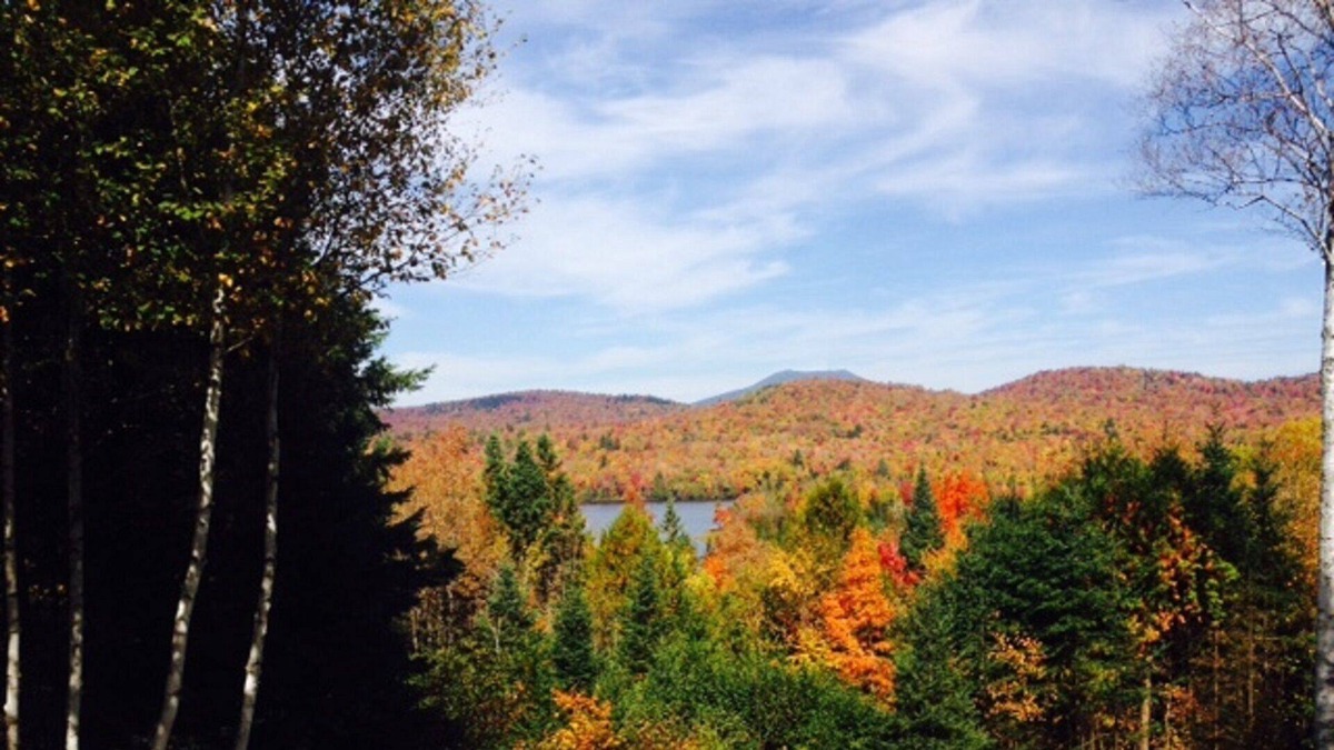 Essex County Cabin | Have a cup of coffee, beer or glass of wine at this writer's retreat