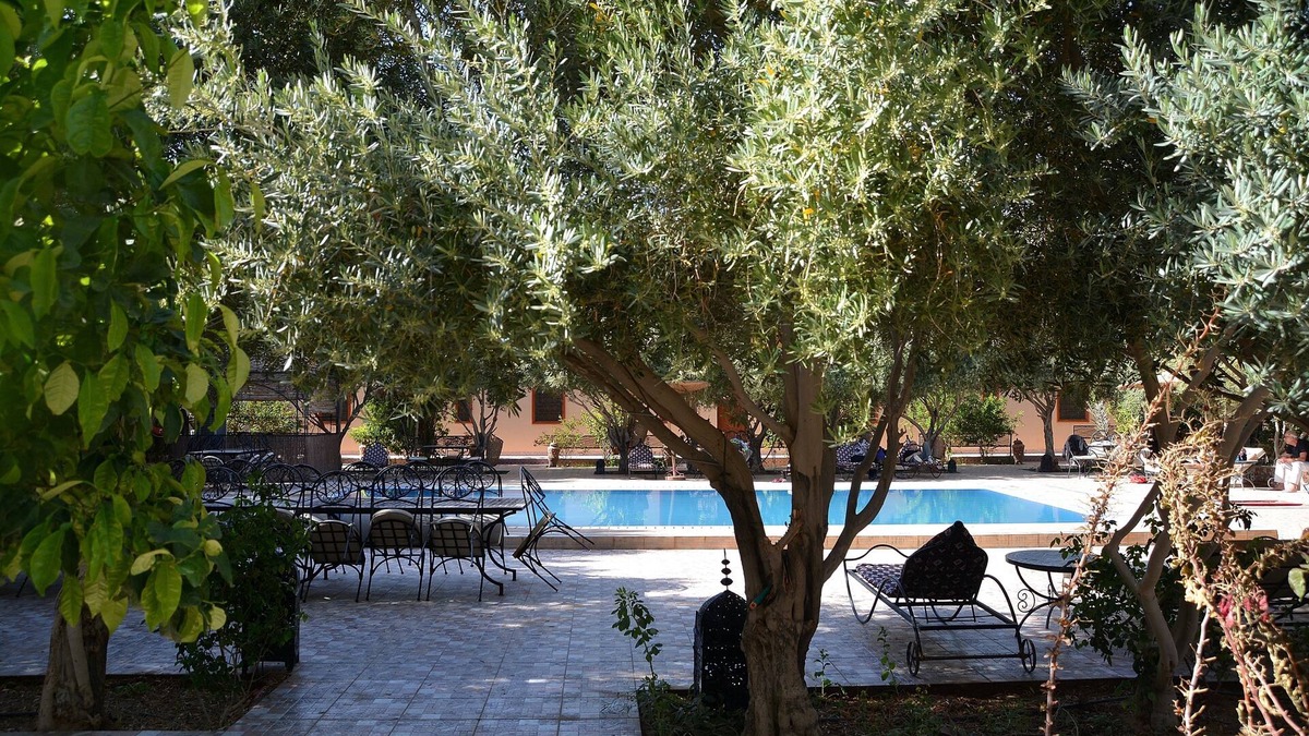 Hassilabied Hotel | Haven La Chance Desert Hotel