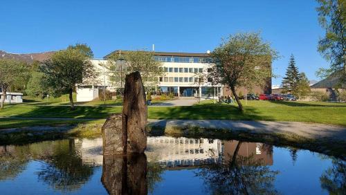 Orsta Hotel | Havila Hotel Ivar Aasen