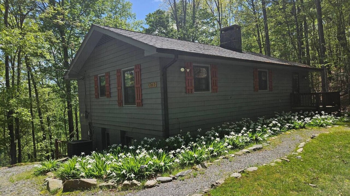 Deep Gap Cabin | Hawk Ridge Haven | Sleeps 4 | Hiking | Fishing |Co