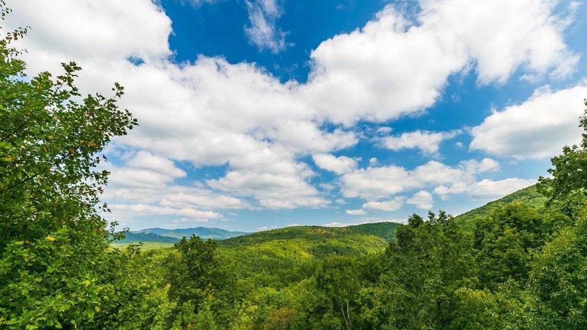 Ridgeline Vistas Cabin | Hawk's Hideaway- Blue Ridge GA