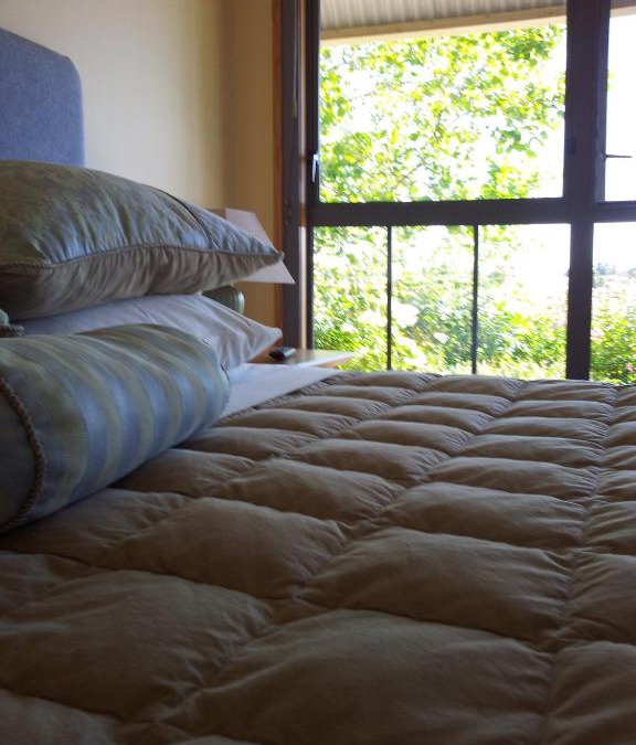 Alexandra Bed & Breakfast | Hawkdun Rise Vineyard & Accommodation
