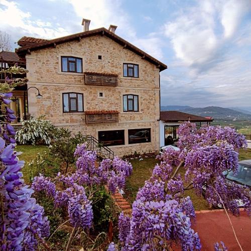 Fatsa Bed & Breakfast | Hayat Oksijen Resort