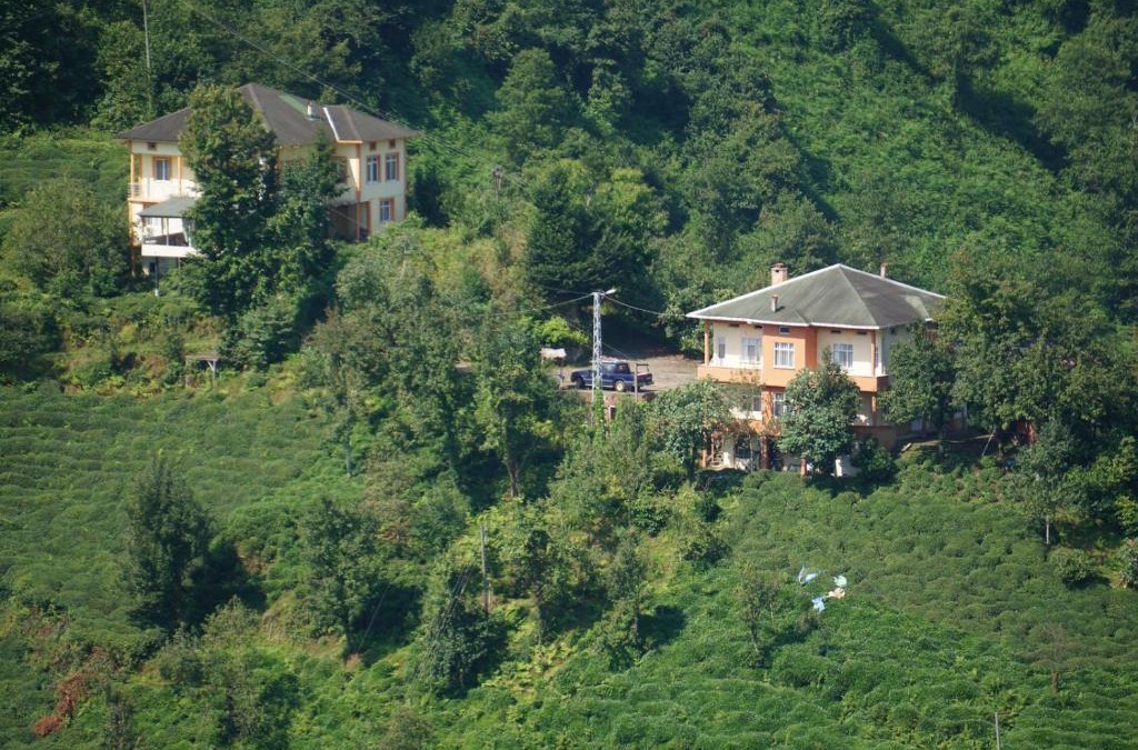 Cayeli House | Haytef Erenler Konut