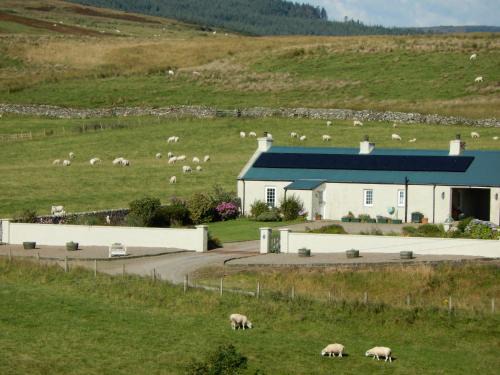 Campbeltown House | Hazel's Cottage