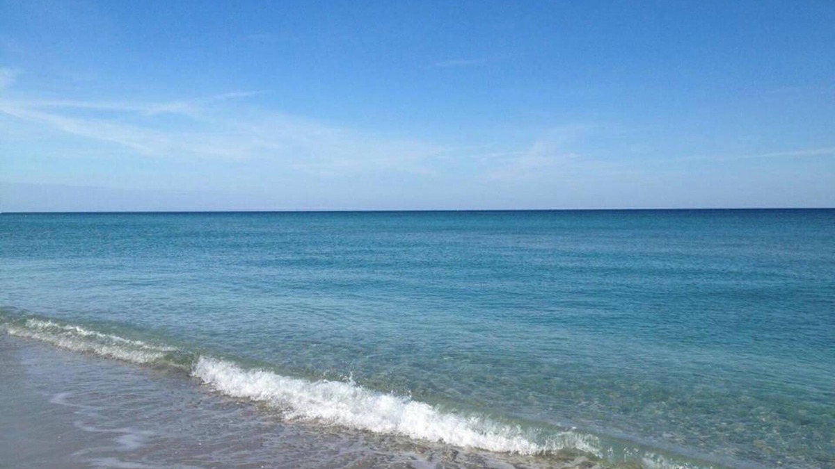Boca Raton House | Heart of Boca! Like new! 38' Saltwater Heated Pool! Close to Beach!