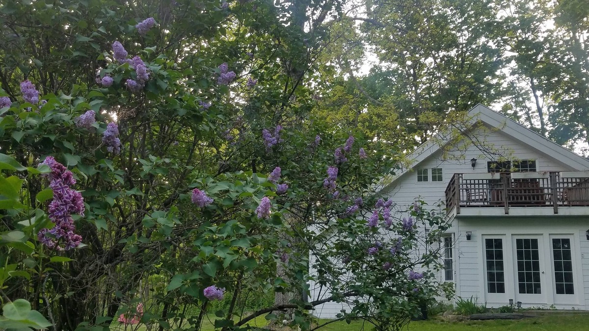Hillsdale Ski Chalet | Heart of Historic Hillsdale, NY, charming carriage house, Swiss Chalet-style