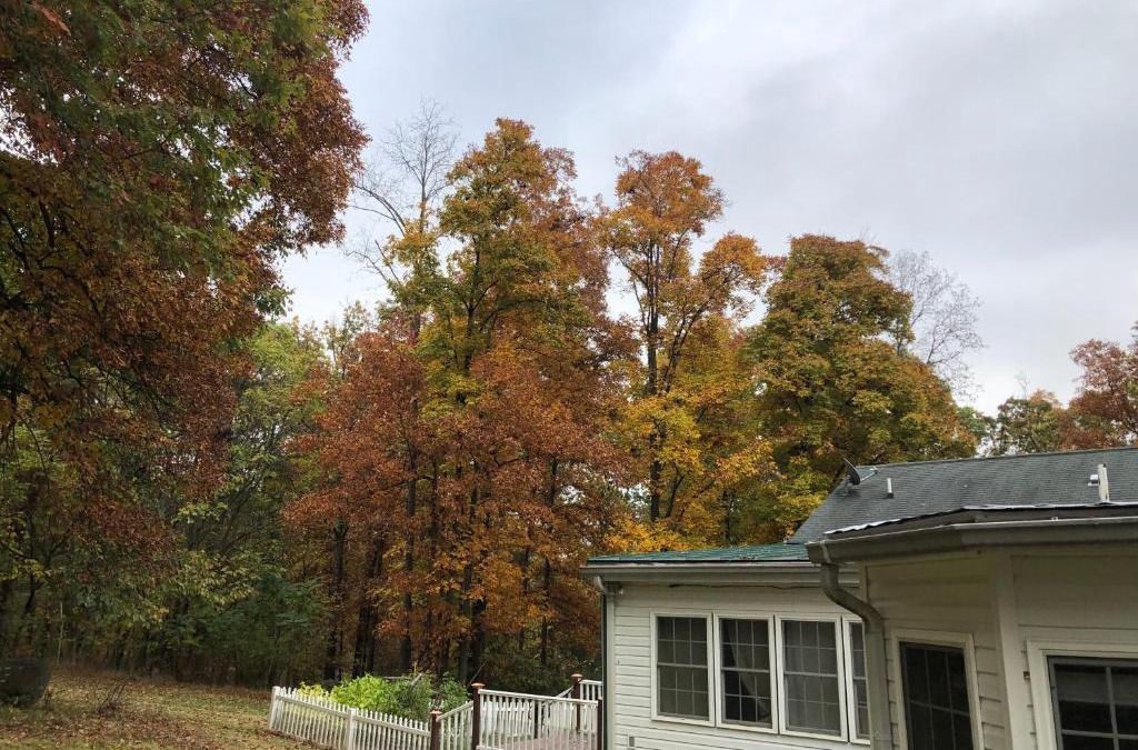 Nokesville House | heather home