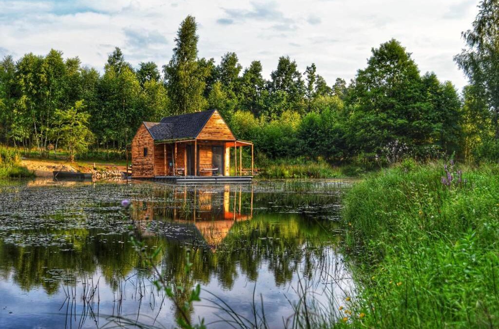 Kolczyglowy Apartment | heather hut, off-grid cottage on a pond+2 ha