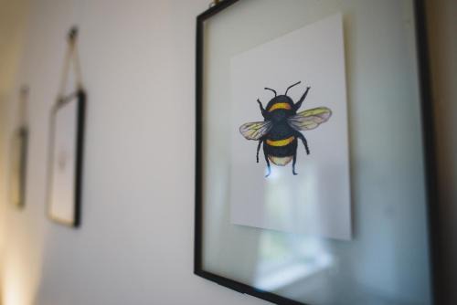 Great Yarmouth House | Hectors house