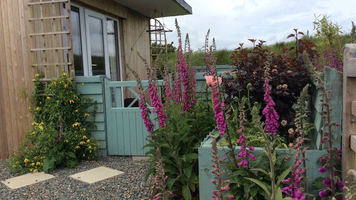 Maenclochog Cabin | Hedgerow Hut - the perfect Tiny House