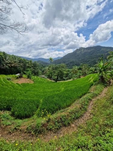 Medadumbara House | Heeloya mount view garden