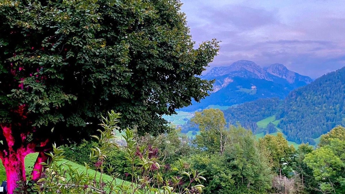 Rossiniere Apartment | Heidi Chalet Alps - Unique Experience - Authentic Part