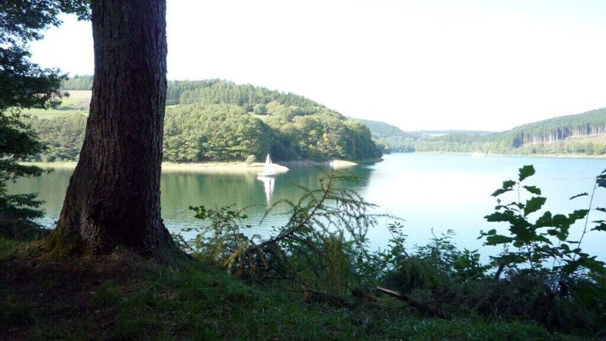 Meschede House | Helga Willing Comfortable holiday residence