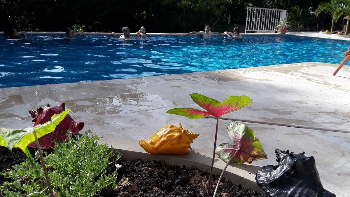 Unitedville Cabin | Heliconia is a self catering studio cabin with jungle facing private balcony