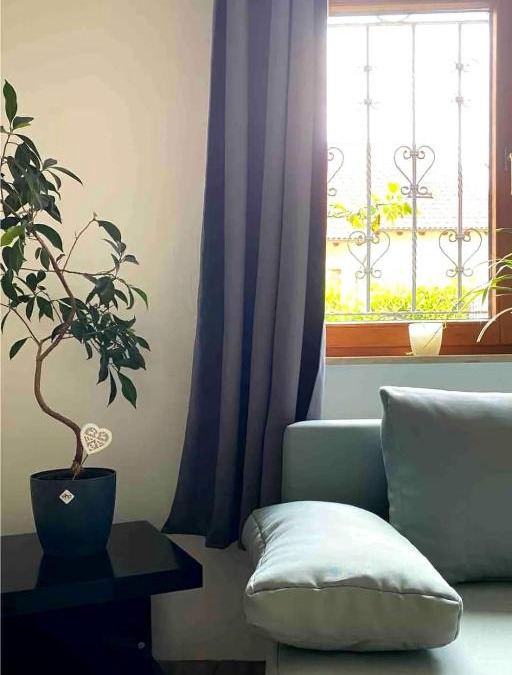 Tiefenbronn Apartment | Helle 1-Zimmer Souterrainwohnung in ruhiger Lage!