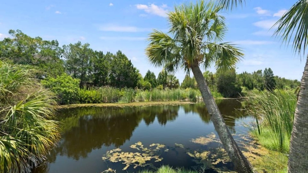 Spring Hill Apartment | Hernando Beach Apartment- Downtown Close To Everythingn