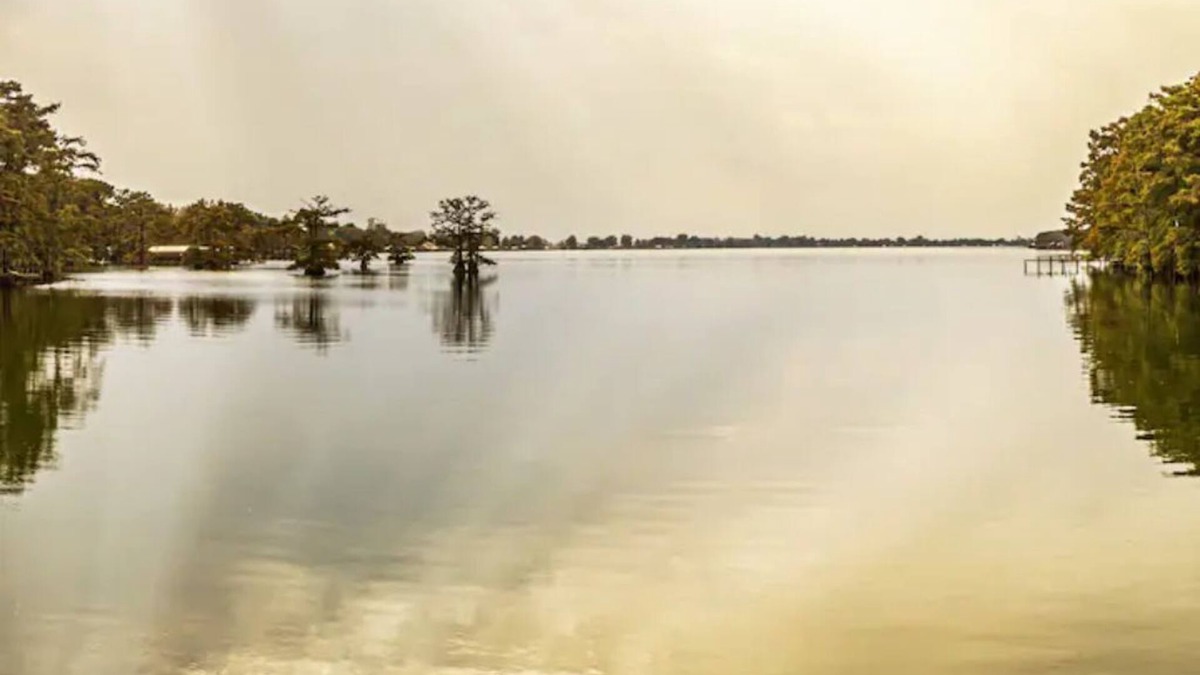 Ferriday House | Heron's Cove Lake House with dock and kayaks
