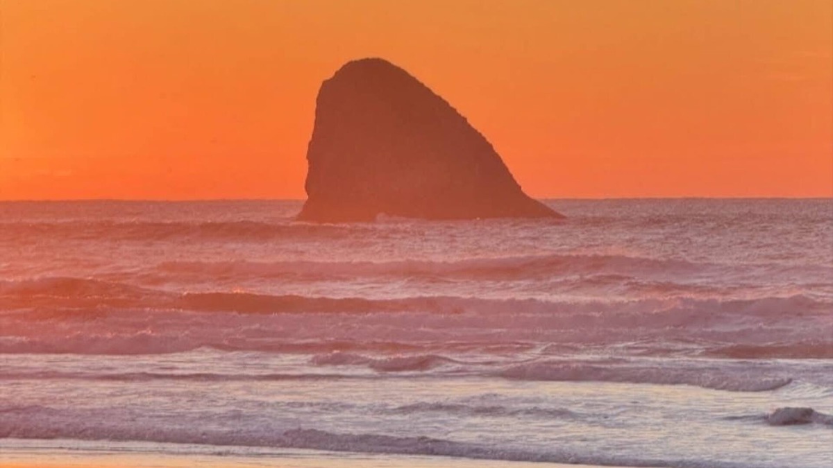 Cape Meares House | Heron's Hearth Beach Bungalow
