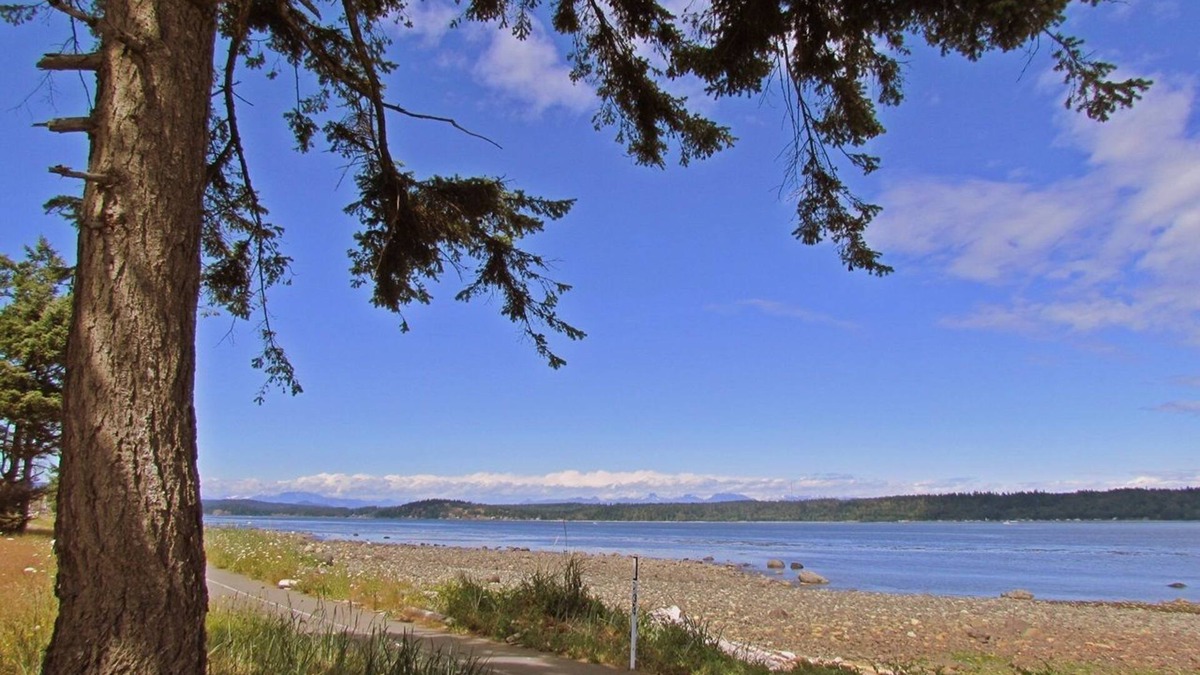 Campbell River Hotel | Heron's Landing Hotel