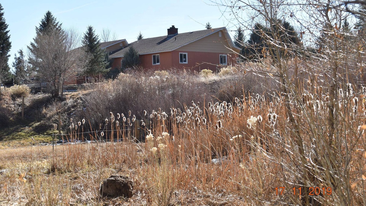 Salida Other | Heron's Landing: Walk to town from 17 acres of wildlife preserve