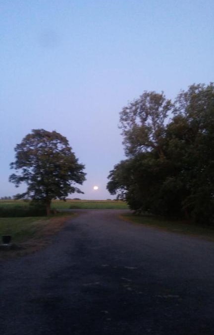 Municipality of De Friese Meren Apartment | Het Friese Landschap