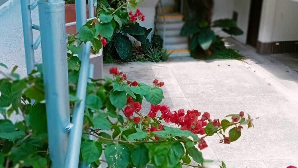 Palmira Hotel | HIDALGO HOTEL