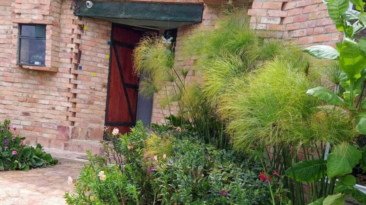 Sopo House | Hidden cabin in the middle of nature