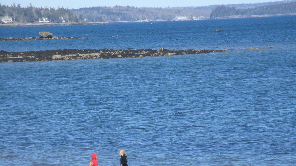 Ellsworth Apartment | HIDDEN GEM !5 MILE TO Beach, 14 Mile to Acadia, Shopping, Bar Harbor, Hiking,