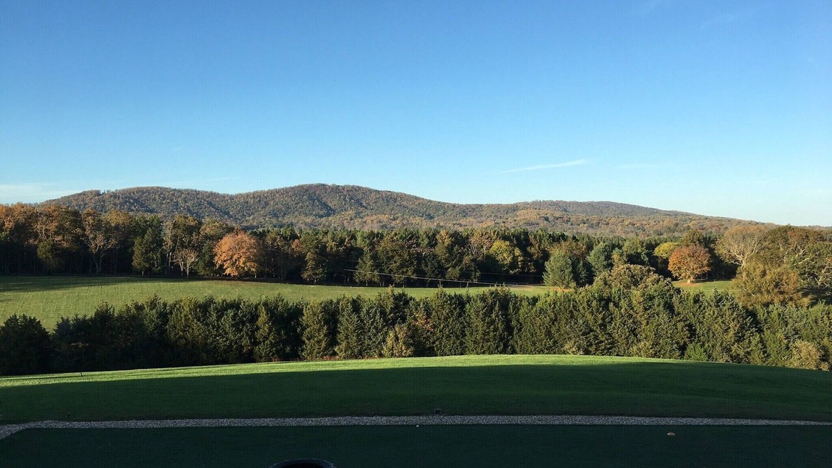 Boyd Tavern Apartment | HIDDEN GEM BARN STUDIO WITH A VIEW near Monticello, wineries, with pool