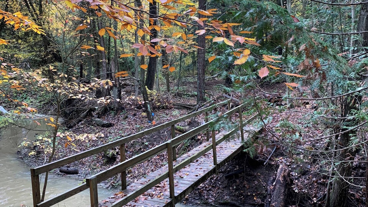 Carsonville House | Hidden Hemlock Retreat Sauna, Spa Tub, Fireplace, Trails, 500M Wi-fi