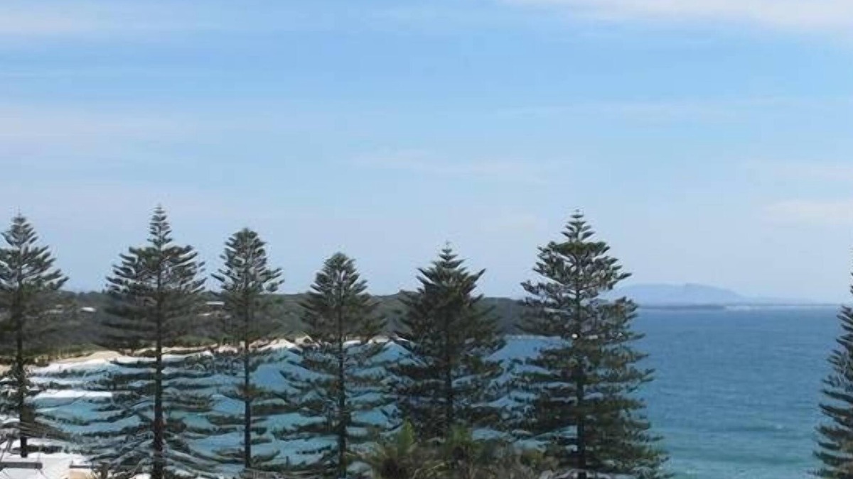 Black Head House | Hidden Jewel with Ocean Views