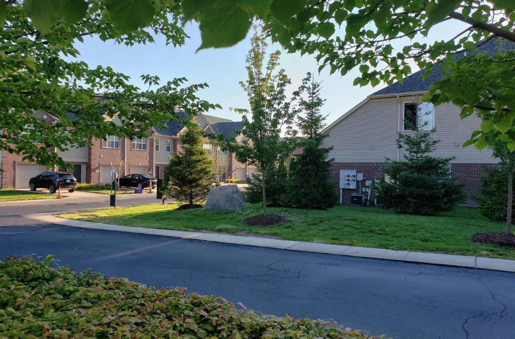Shelby Township Apartment | Hidden Tri-level Jewel