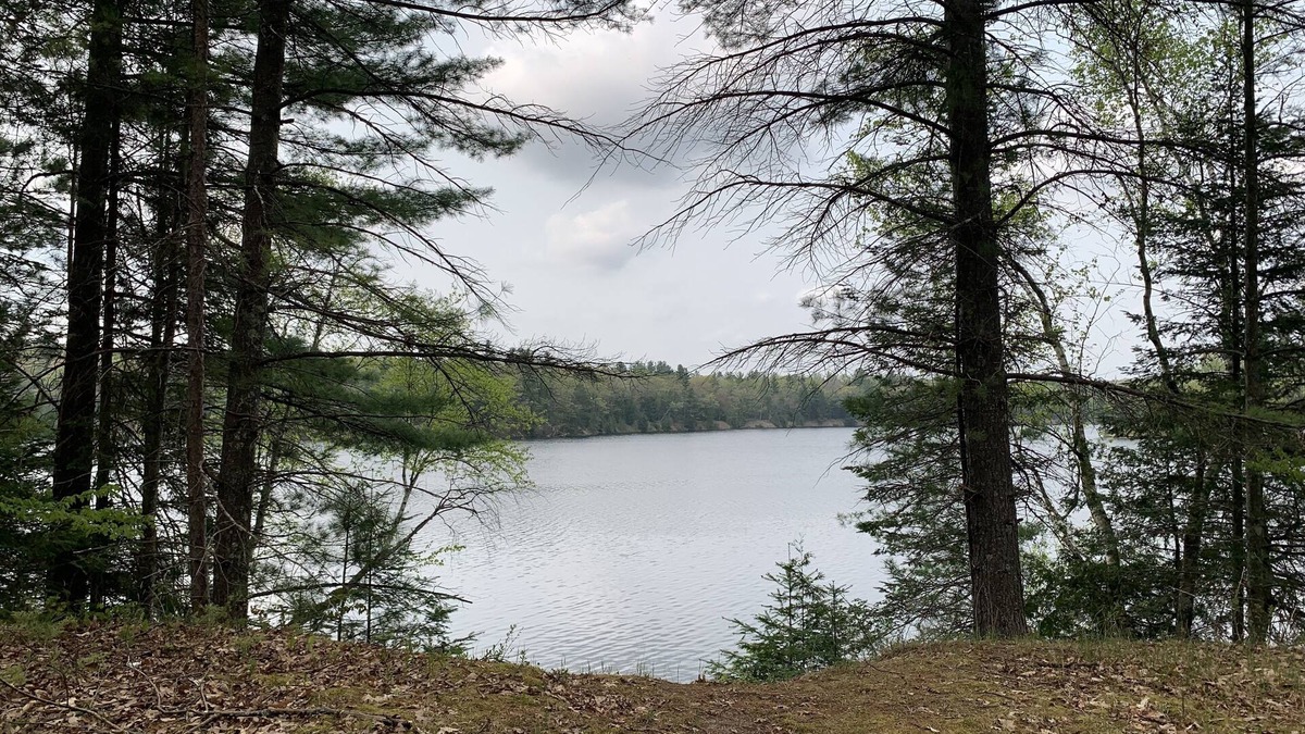 Oscoda Cabin | Hide out cozy Cabin Rental near Cooke Dam pond in Oscoda & budget friendly