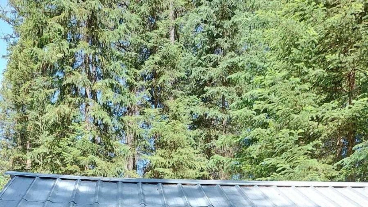 Olney RV Rental | Hideaway Hut 2/ 1 Queen and 1 Bunkbed
