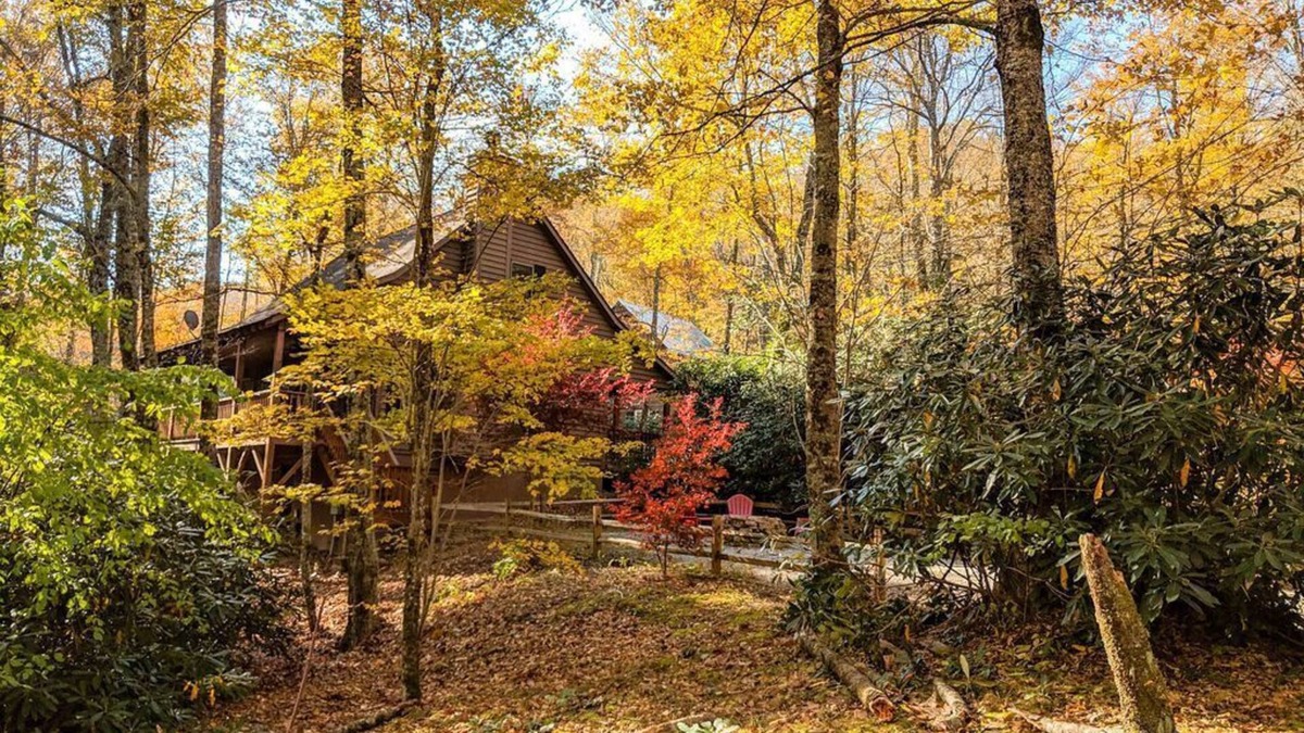 Highlands House | HIGH SPEED FIBER OPTIC WIFI; Tranquil Treehouse on 2.5 Acres; Affordable Luxury