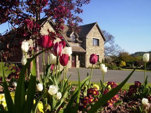 The Bage Bed & Breakfast | Highfield