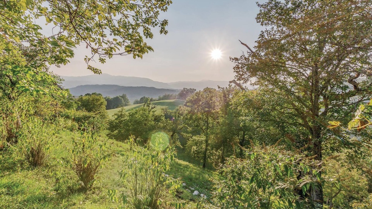 Albareto House | Highly attractive unit of three country houses in original style in the nature reserve "Ghirardi".