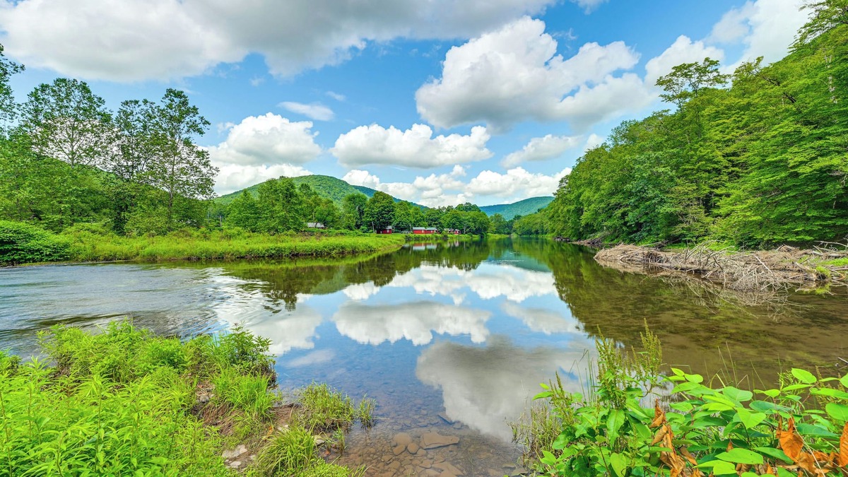 East Branch Cabin | Hike, Fish & Kayak: Delaware River Cabin w/Views