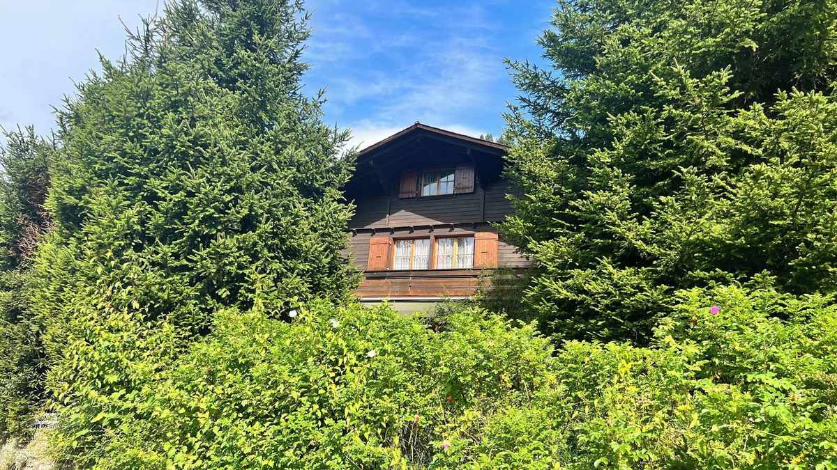 Plaffeien Ski Chalet | Hildegard switzerland