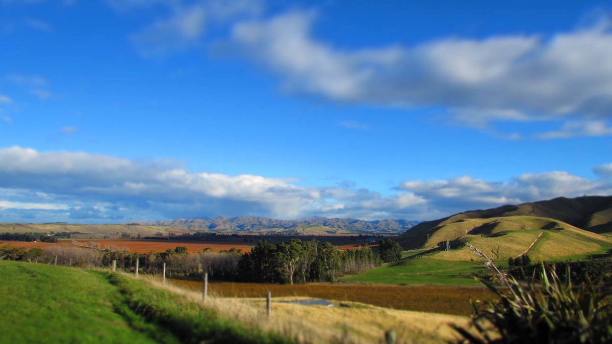 Blenheim Other | Hill Top Retreat homestay - With 270 degrees stunning Views !