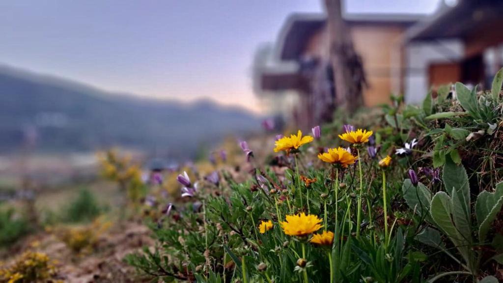 Periyur House | HILL VIEW