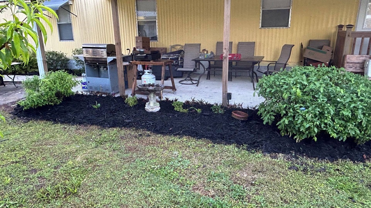 Satsuma House | Hillbilly's Dream Dunn's Creek and St. Johns River 2 Bdrm and 2 Bath