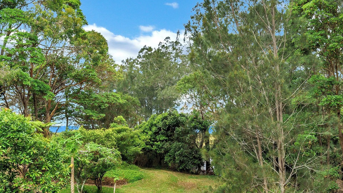Korora Apartment | Hills Beach House