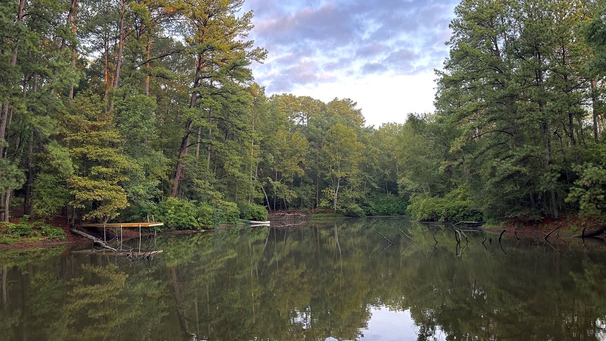 Oakhurst Cabin | Hilltop Cabin on 33 Secluded Acres with Private Pond & Trails