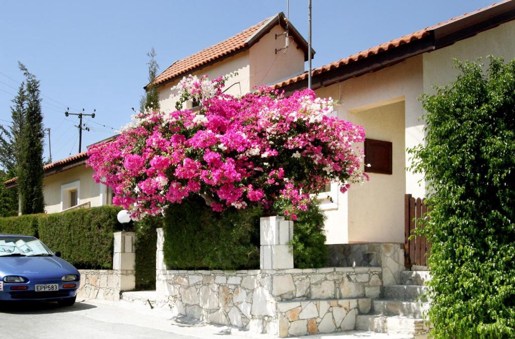 Pissouri Villa | Hilltop Chalet