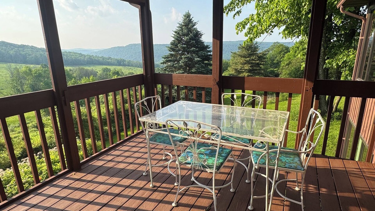 Morton House | Hilltop, relax and enjoy nature's aviary atop the Endless Mountains.