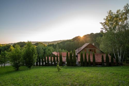 Bradut Villa | Hilltop The House Filia
