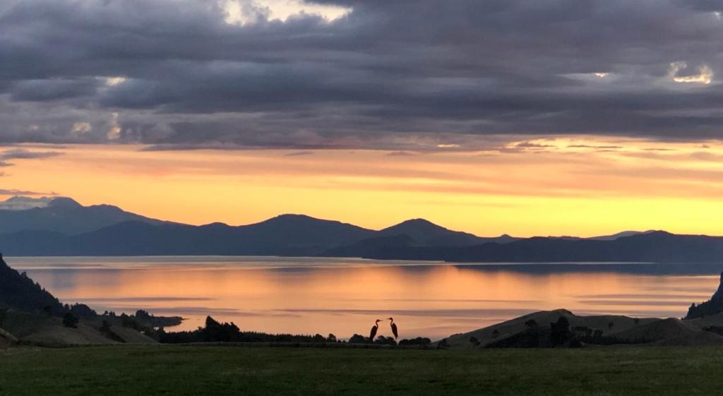 Kinloch Bed & Breakfast | Hilltop Whakaipo Estate
